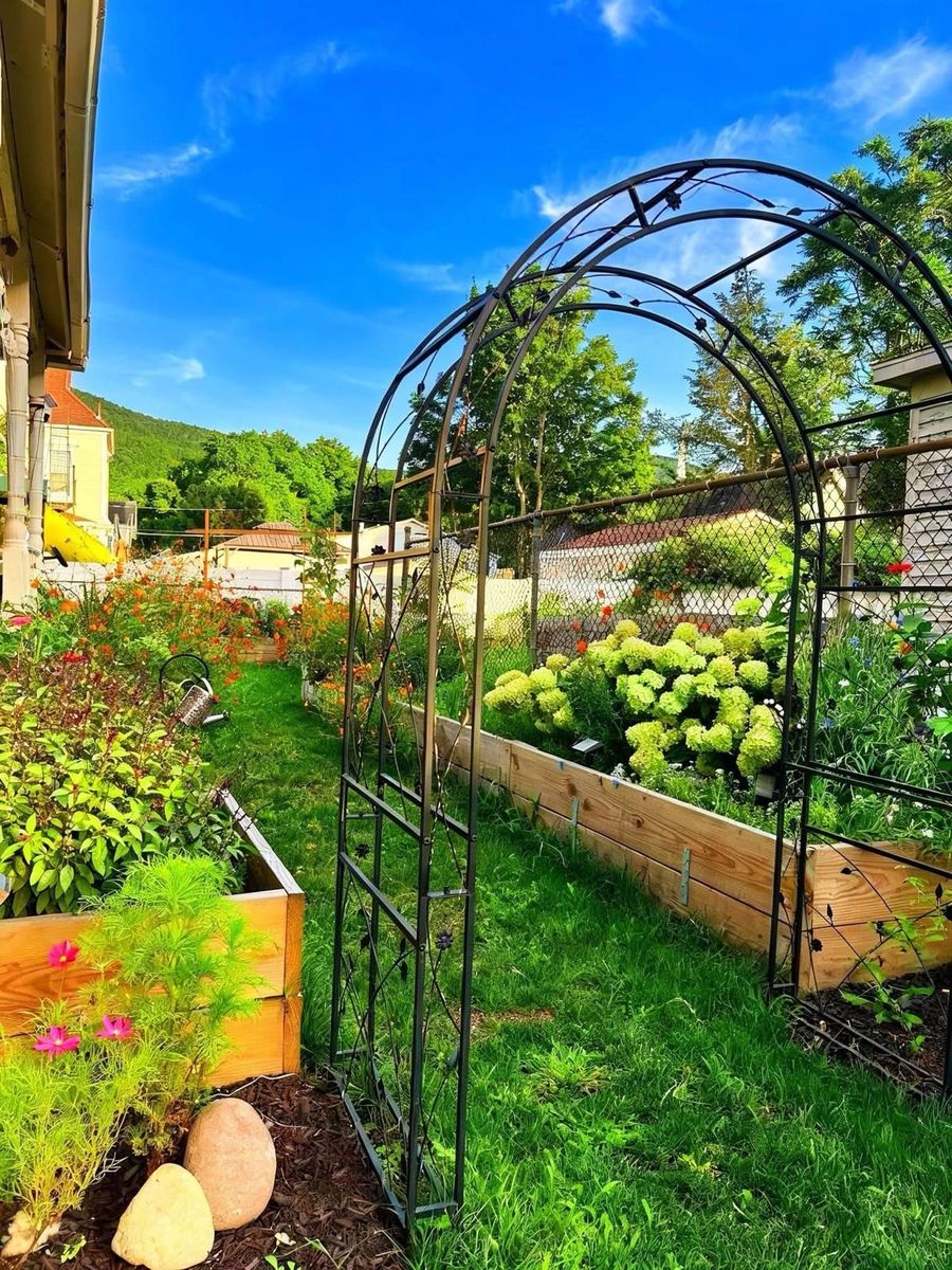 A backyard garden with a black metal arch, raised wooden beds, hydrangeas and orange flowers under a blue sky